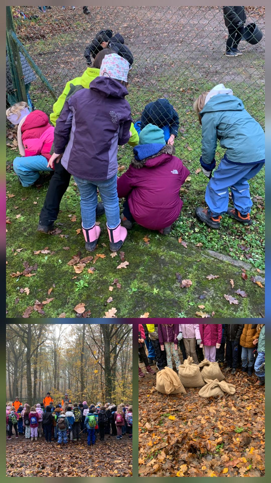 Foto-Collage von der Sammelaktion